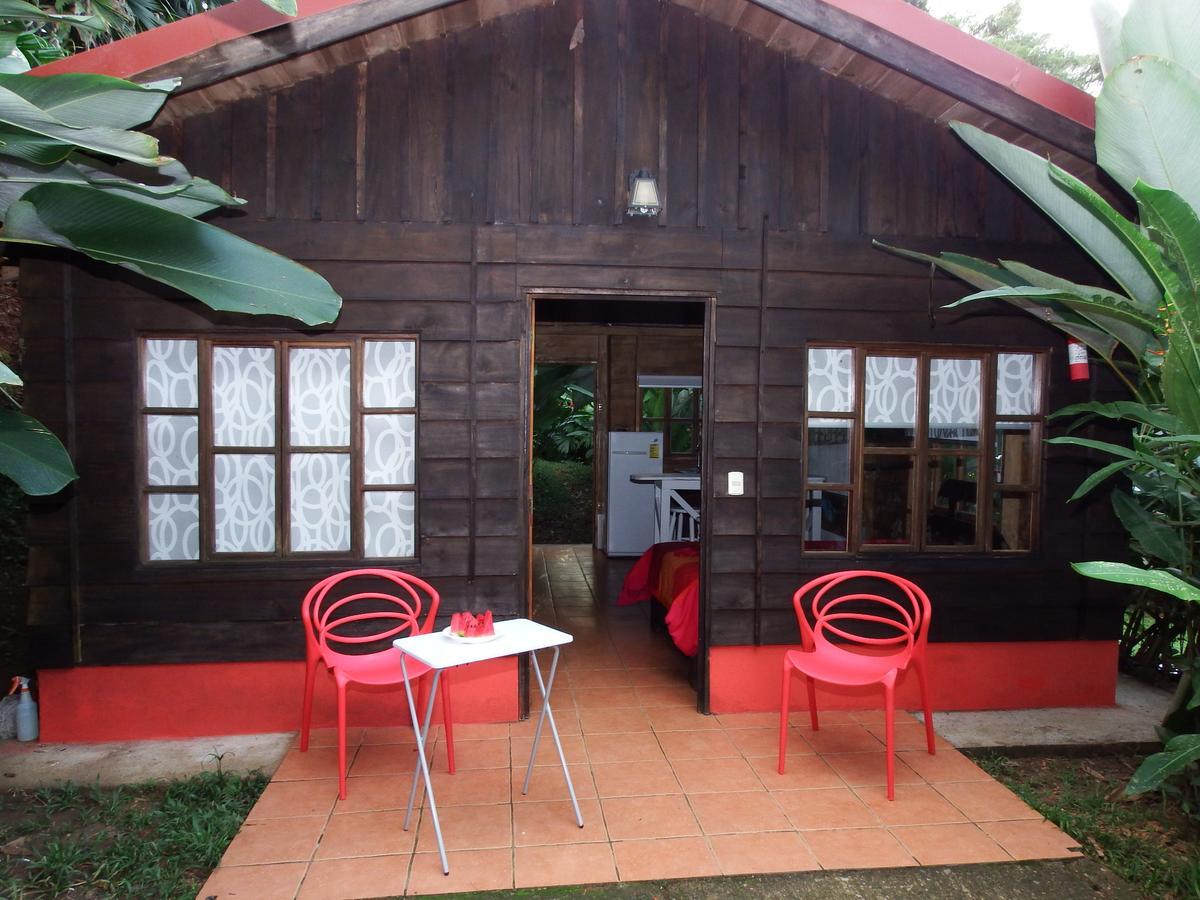 Selva Color - Forest & Beach Ecolodge Quebrada Ganado Exterior foto