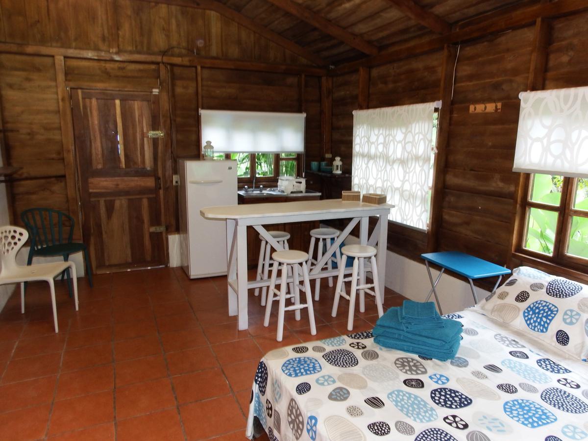 Selva Color - Forest & Beach Ecolodge Quebrada Ganado Exterior foto