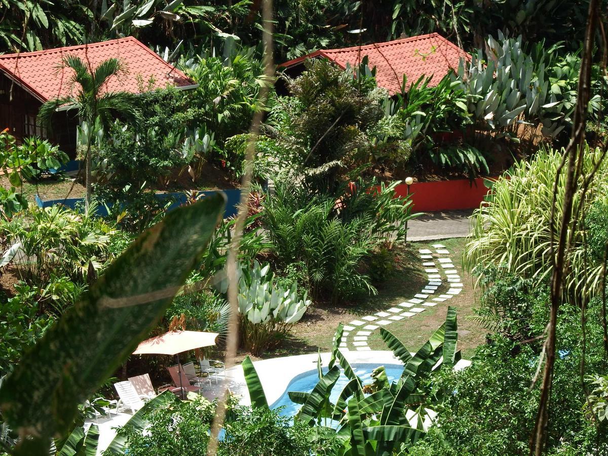 Selva Color - Forest & Beach Ecolodge Quebrada Ganado Exterior foto