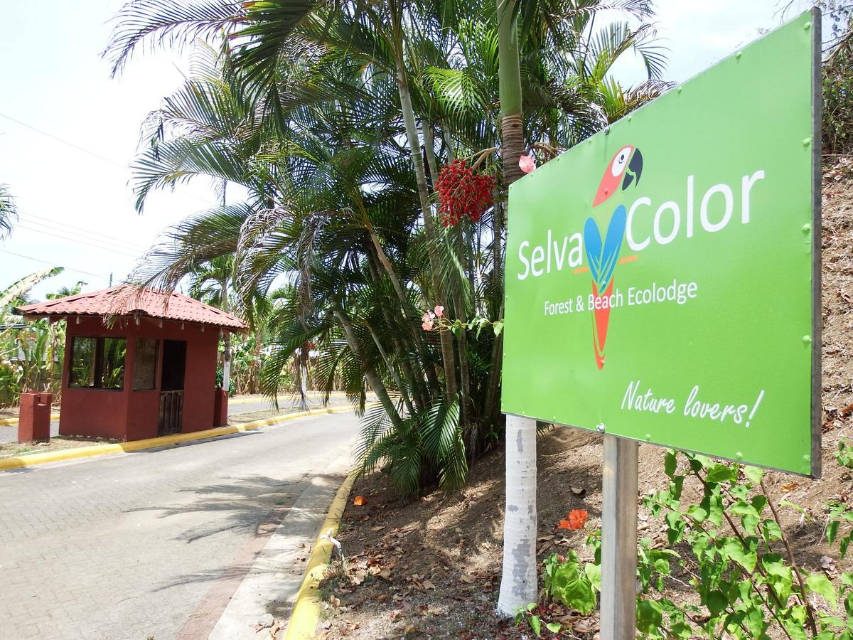 Selva Color - Forest & Beach Ecolodge Quebrada Ganado Exterior foto