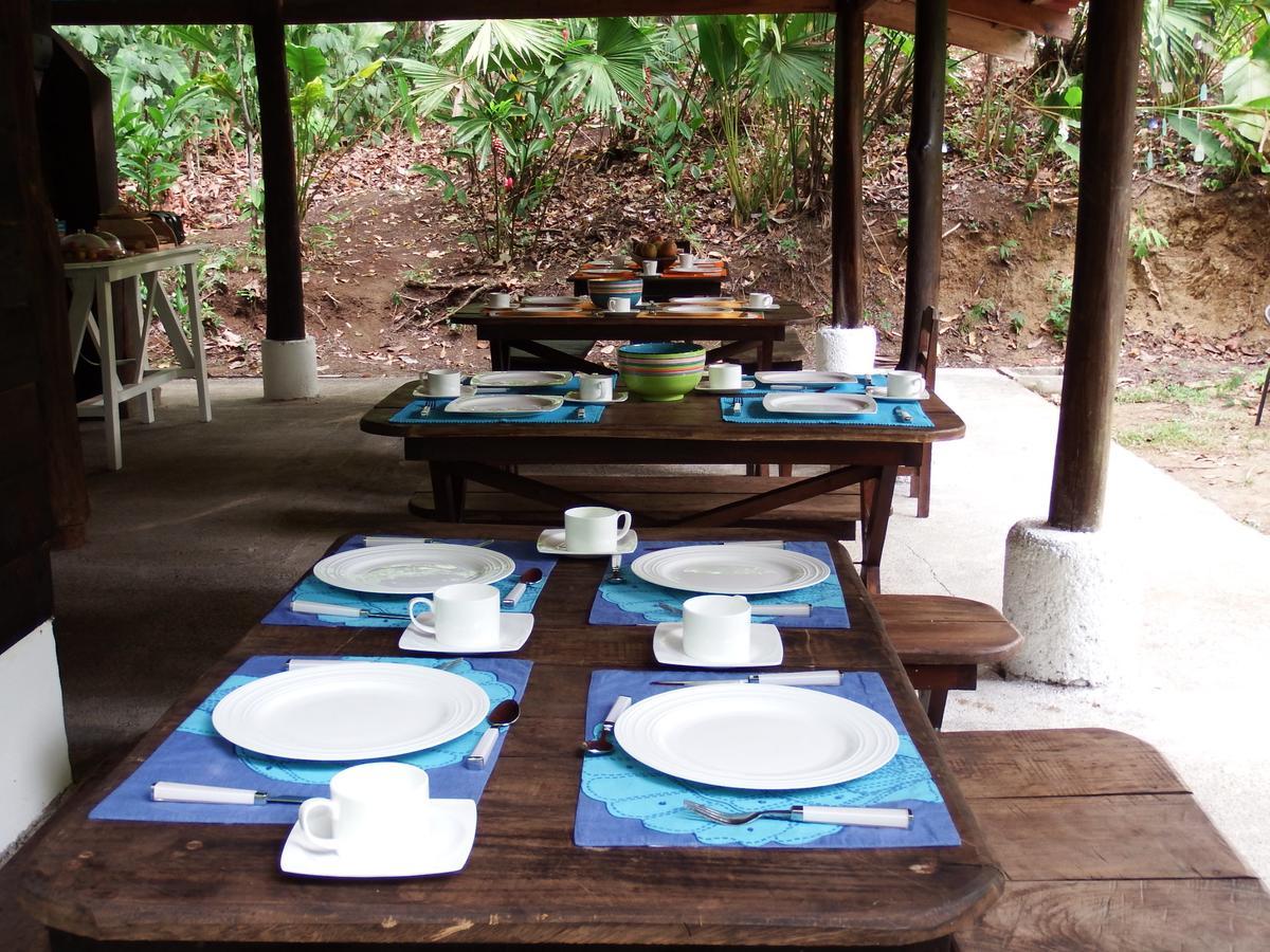 Selva Color - Forest & Beach Ecolodge Quebrada Ganado Exterior foto